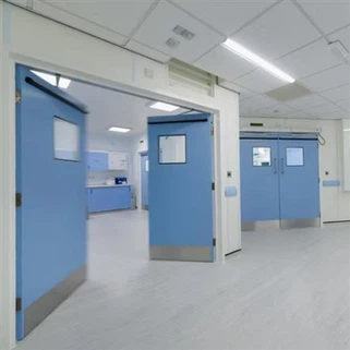 Clean Room Door